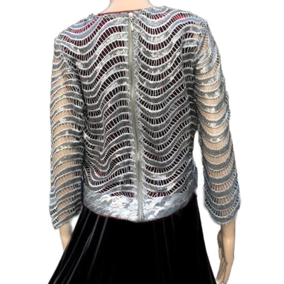 SHANI'S Stunning Silver Lace Sequined Semi-Sheer Wave Pattern Evening Top Sz 16 - Picture 4 of 5